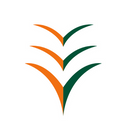 Ibom Air logo